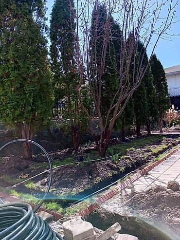 Газон: Газон
Автополив
Ландшафтный дизайн — 7