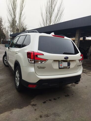 Subaru: Subaru Forester: 2019 г., 2.5 л, Вариатор, Бензин, Кроссовер — 4