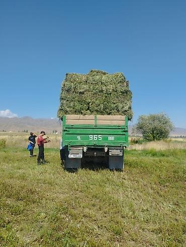 света диоты: КАМАЗ бортовой, 6x4 Описание: - Кузов самосвальный, борта — 4