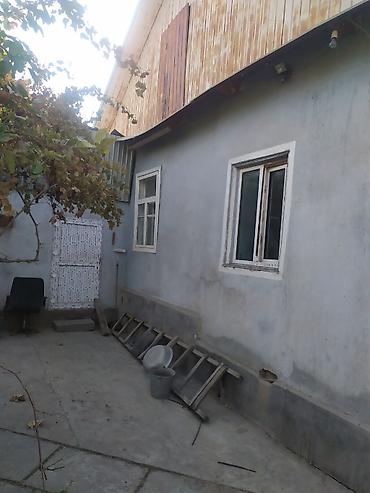 натали: 4 комнаты, 77 м², 4 соток, Аламедин (ГЭС-2), Риэлтор — 2