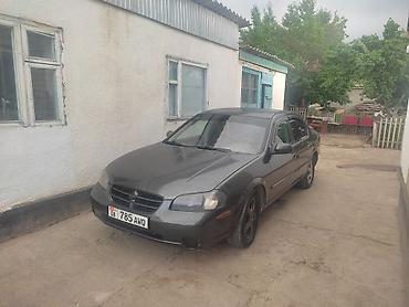 jac 9: Nissan Maxima: 2000 г., 3 л, Автомат, Бензин, Седан — 1