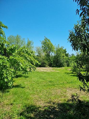 çeşqa satışı: Bağ evi və geniş həyətyanı sahə - İki mərtəbəli kərpic tikili — 3