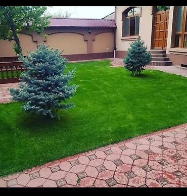 Ландшафтные работы и устройство газонов «под ключ» - Проектирование и