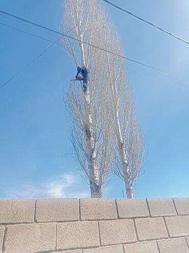 Спил деревьев, заготовка дров: Тынар гарантия 100%., спилю деревья,, любой сложности#1 _тынар супер — 4