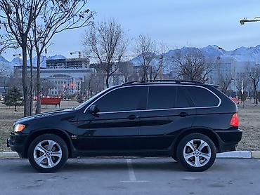 BMW: BMW X5: 2002 г., 4.4 л, Автомат, Бензин, Внедорожник — 9