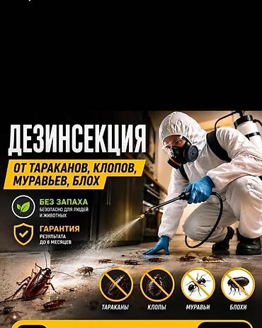 делать: Дезинфекция, дезинсекция, | Тараканы, | Квартиры — 2