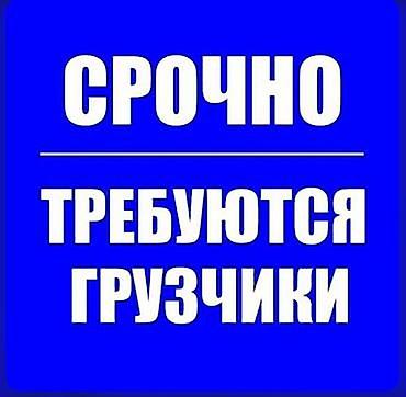 работа ежедневное оплата: Нужны грузчики 10-15 человек на 10-12 дней С 10 до 19:00 выгрузка — 1