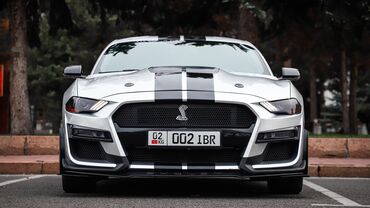 Ford: Ford Mustang: 2019 г., 2.3 л, Автомат, Бензин, Купе — 2