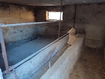 Распашные ворота: Продается дом, в доме четыре комнатыверанда,душ с туалет, есть at lalafo.kg — 18 Распашные ворота: Продается дом, в доме четыре комнатыверанда,душ с туалет, есть — 18