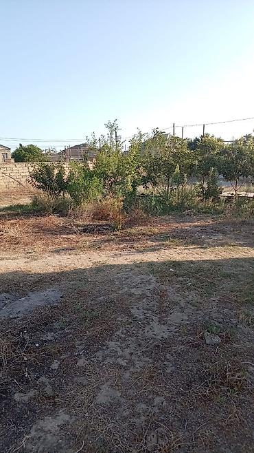 qara torpaq satılır: 6 sot, Tikinti, Mülkiyyətçi, Kupça (Çıxarış) — 1