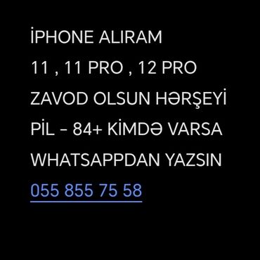 Apple iPhone: IPhone 11