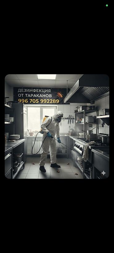 Дезинфекция, дезинсекция: Дезинфекция, дезинсекция, | Муравьи, Мыши и крысы, Клопы, | Офисы, Дома, Подъезды — 1