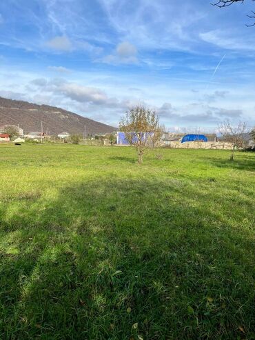 Torpaq sahələrinin satışı: 18 sot, Biznes üçün, Kupça (Çıxarış) — 15