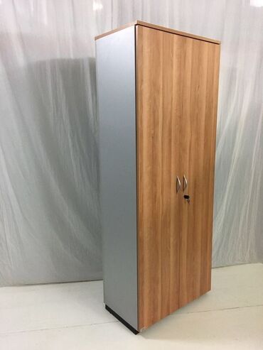 вытяжка встроенная в шкаф: Прямой шкаф, Распашной, 2 двери