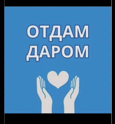 отдам даром детский вещи: Отдам даром Отдам даром детские вещи: обувь, куртку и другое