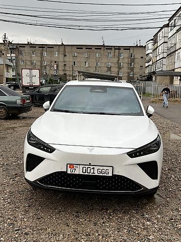 катушка нексия 2: Hozon Neta L: 1.5 л, Гибрид, Кроссовер — 1