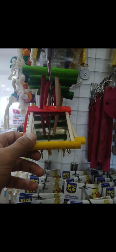 Qəfəslər: Yeni ve böyük qefesler var satişda yeni qəfəslərdi hər növdə var — 10