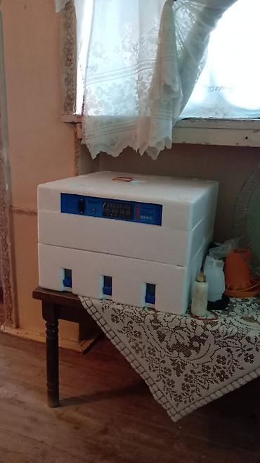 printer l3150 epson: Yendi alinib istifade olmayib 250 Azn tecili satilir isteyen elaqe — 1