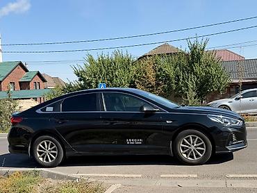 соната 2004: Hyundai Sonata: 2020 г., 2 л, Автомат, Газ, Седан — 4