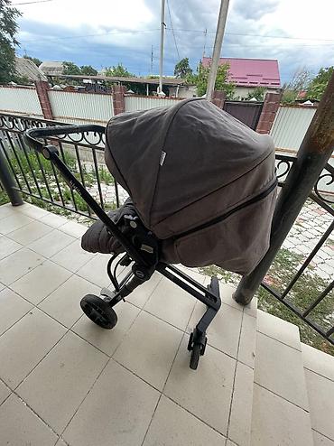 Коляски: Коляски — 5