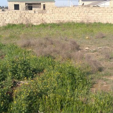 bağ evi aksesuarları: Qala qəs. 4 otaqlı, 130 kv. m, Kredit yoxdur, Təmirsiz