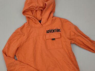 the north face gucci bluza: Name, Women`s sweatshirt, XL (EU 42)
