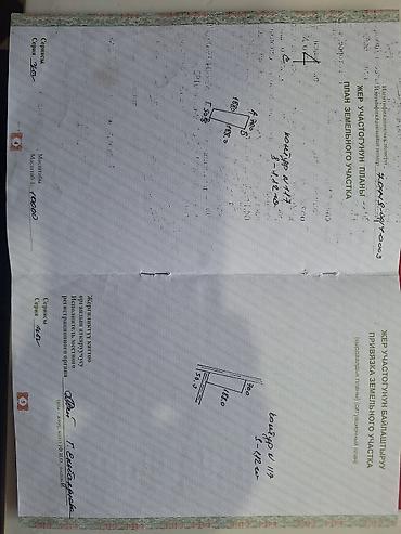 улица киргизская нижняя аларча: 1 соток, Для сельского хозяйства, Красная книга — 3