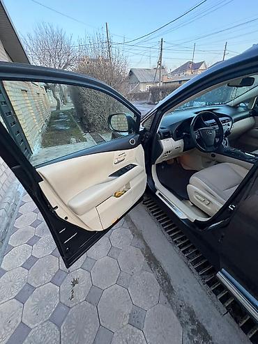 Lexus: Lexus RX: 2010 г., 3.5 л, Автомат, Газ, Кроссовер — 19