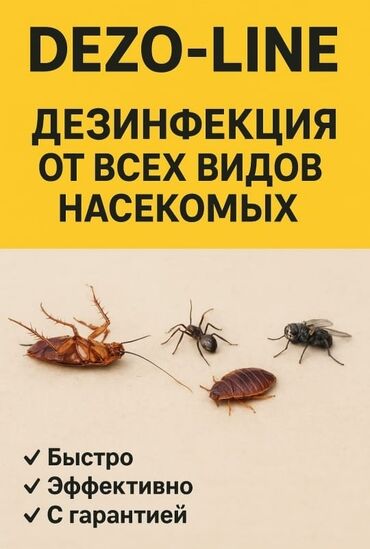 дезинфекция бишкек цены: Дезинфекция, дезинсекция, | Тараканы, | Квартиры