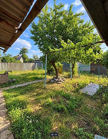 детский сад ак босого: 4 бөлмө, 40 м², 5 соток, Электр энергиясы, Муздак суу — 2