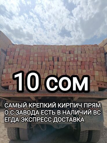 вибратор бетон: Пустотелый, дырчатый, Жженый кирпич, Полублок, 250x120x90