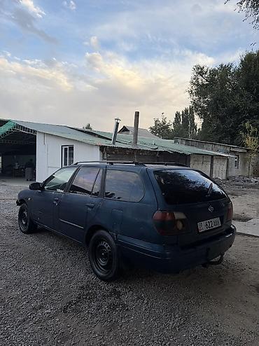 Nissan Primera: 1997 г., 2 л, Механика, Бензин, Универсал at lalafo.kg Nissan Primera: 1997 г., 2 л, Механика, Бензин, Универсал