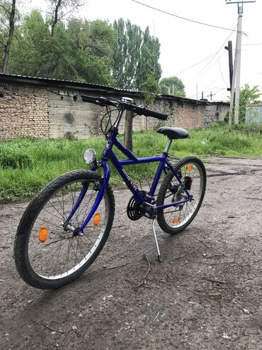 дедиский велик: Велосипед привезен из Германии прошлым летом. Зиму стоял, после зимы
