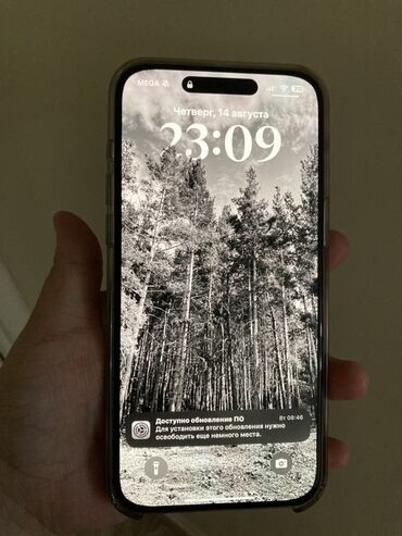 платиновый номер: IPhone 15 Pro Max, Колдонулган, 256 ГБ, Natural Titanium, Коргоочу айнек, Каптама, Куту, 88 %