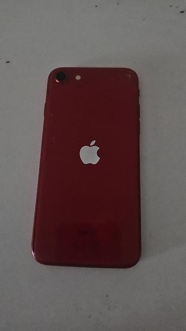 apple iphone se 2022: IPhone SE 2020, 256 GB, Qırmızı, Barmaq izi — 2