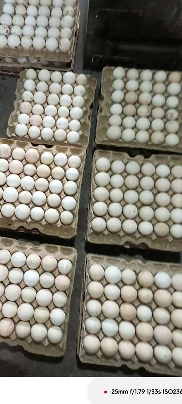 Уход за телом: ПРОДАЮ Мочалки . Ручная вязка, массажный эффект, легко пенится — 8