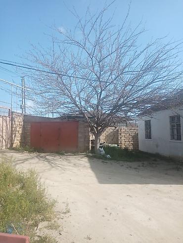 Həyət evləri və villaların satışı: 4 otaqlı, 146 kv. m — 16