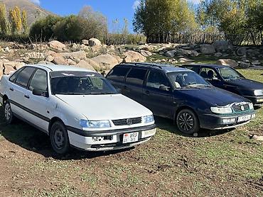 daf 480: Volkswagen Passat: 1994 г., 2 л, Механика, Газ, Седан — 3