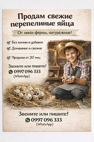марожный смесь: Свежие перепелиные яйца от мини-фермы, натуральные. Особенности: - — 1