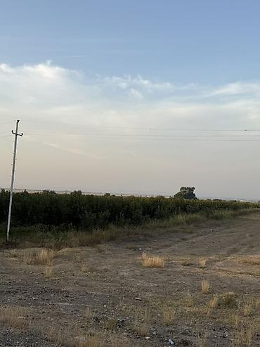 bakixanov ev satisi: 2500 sot, Kənd təsərrüfatı, Mülkiyyətçi, Kupça (Çıxarış) — 2
