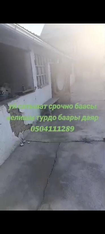 дачи сары жон: Номер берсенер видео жонотом — 2