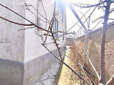 Продажа коттеджей и домов: СРОЧНО ❗ СРОЧНО ❗ СРОЧНО ❗ ПРОДАЁТСЯ МАНСАРДНЫЙ ДОМ СО ВСЕМИ at lalafo.kg — 19 Продажа коттеджей и домов: СРОЧНО ❗ СРОЧНО ❗ СРОЧНО ❗ ПРОДАЁТСЯ МАНСАРДНЫЙ ДОМ СО ВСЕМИ — 19