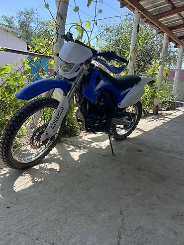 Мотоциклы: Эндуро Yamaha, 250 куб. см, Бензин, Взрослый, Б/у — 4