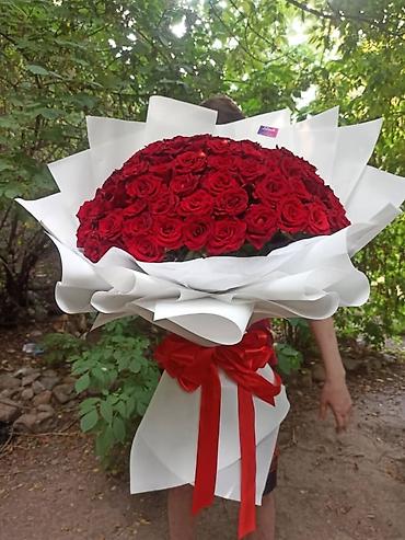 Другая зелень и микрозелень: Акция 51 роза 1900‼️Дешево Розы букеты оптом и в розницу 24/7 доставка — 3
