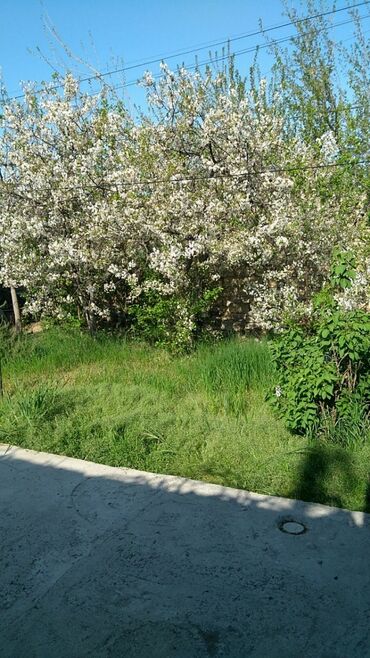 Həyət evləri və villaların satışı: Yeni Ramana 3 otaqlı, 83 kv. m, Kredit yoxdur, Orta təmir — 7