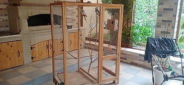 heyvanlar quslar: Böyük ölçülü quş volyeri/sərgisi - Material: möhkəm taxta karkas, sıx — 1
