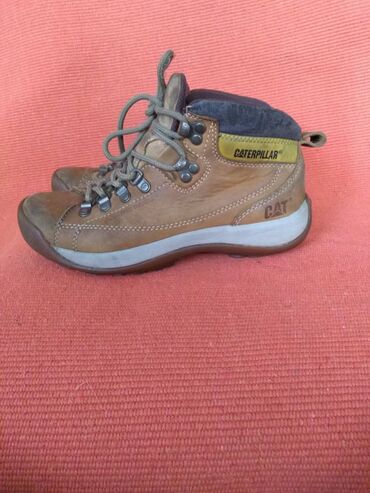 Gležnjače: Gležnjače, 38.5 na lalafo.rs — 2 Gležnjače: Gležnjače, 38.5 — 2