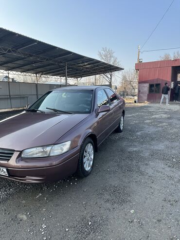 Toyota: Toyota Camry: 1999 г., 2.2 л, Автомат, Бензин, Седан