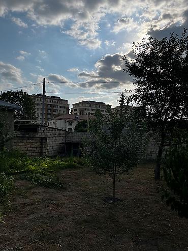 bine atciliq satilan evler: Ismayillinin tam merkezinde 3.8 sot. 1 sayli mektebin yani — 1