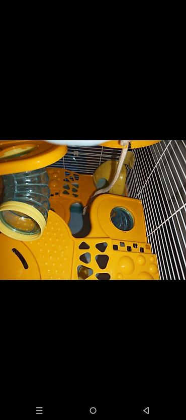 Зоотовары: Dəbilqəli hamster üçün çoxmərtəbəli qəfəs dəsti - Rənglər: açıq mavi — 5